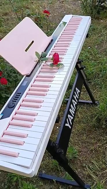 metronom: Piano, Rəqəmsal, Yeni, Ünvandan götürmə, Pulsuz çatdırılma — 9