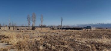 Продажа участков: 450 соток, Для бизнеса, Договор купли-продажи at lalafo.kg — 18 Продажа участков: 450 соток, Для бизнеса, Договор купли-продажи — 18