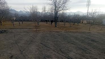 Продажа участков: 25 соток — 19