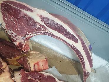 пони конь: Жылкы эти. Тойлорго жана Куран окутууларга заказ алабыз. Устукандар — 1