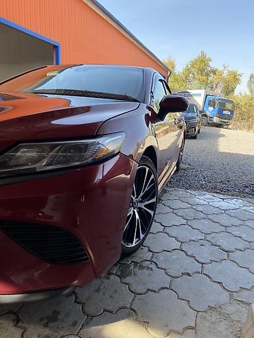 Toyota: Toyota Camry: 2017 г., 2.5 л, Бензин, Седан — 1