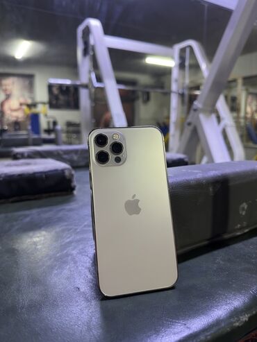 айфон xr в корпусе 13 pro купить: IPhone 12 Pro, Новый, 128 ГБ, Золотой, 78 %