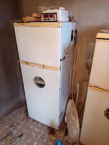 İnkubatorlar: Bütün növ quşlaq üçün — 4