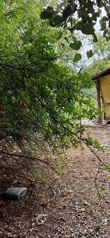 Torpaq sahələrinin satışı: 85 sot, Kənd təsərrüfatı, Mülkiyyətçi, Kupça (Çıxarış) — 15