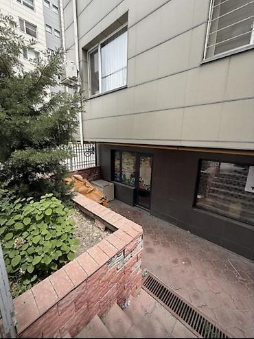 Сдаю Помещение целиком: Оптика, 42 м², В жилом комплексе, Недействующий бизнес