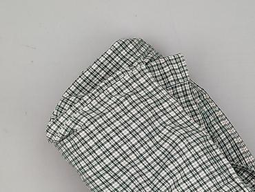 green items: Koszulа dla mężczyzn, rozmiar 2XL — 6