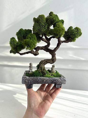 Декоративные цветы: Деревья-бонсай из натурального стабилизированного мха🌳 -это — 61