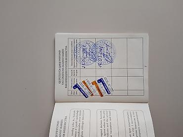 ev heyvani satisi: Şpitz, 5 ay, Erkək, Peyvəndli — 4