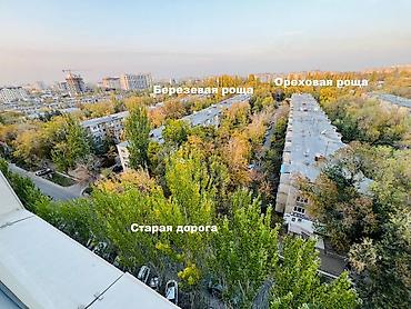 janna: 4 комнаты, 258 м², Асанбай мкр Элитка, 10 этаж — 4
