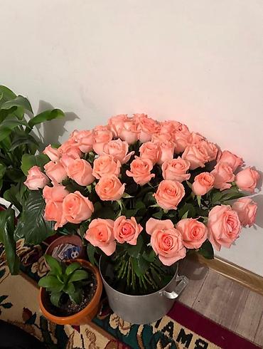 рыбы купить: Продаю букет 51 роза, стоят в воде, свежие, но продаем из-за — 2