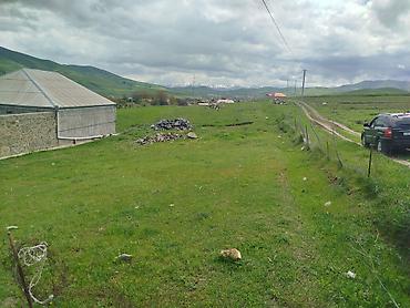 novxanı torpaq: 17 sot, Tikinti, Mülkiyyətçi, Kupça (Çıxarış) — 7