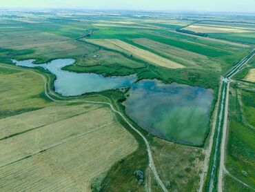 Продажа участков: 1030 соток, Для сельского хозяйства, Тех паспорт, Красная книга — 6