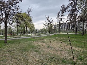 Новостройки от застройщика: Сдан, 1 комната, 35 м² — 2