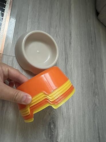 лежанка: Набор для кошки/кота — все необходимое для дома. Цена за весь набор — 8