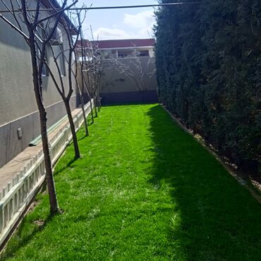 Başqa xidmətlər: Bağ və villalarda qazon üçün sprinkerlər vasitəsilə ağac və kollar — 10