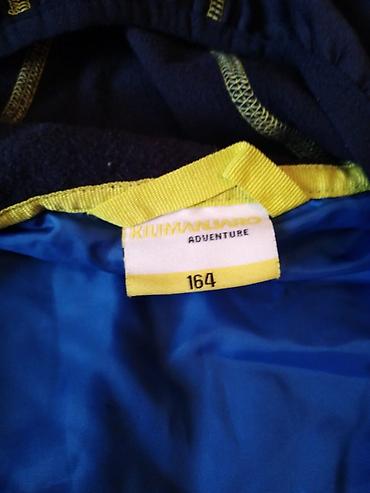 Kurtkalar: 10-12 yaw — 4