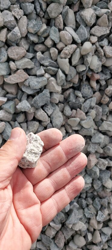 Услуги портера: Заказать Самосвал, Вывоз строй мусора at lalafo.kg — 8 Услуги портера: Заказать Самосвал, Вывоз строй мусора — 8