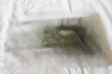 Knjige: PERLE 22, BLEN, REDUKTOR (HC), DARKWOOD | Perle 19, Prorok (HC) — 11