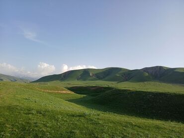 Сельхоз предприятия: Продаю Кошара, 50 соток, Действующий, Без оборудования, Электричество — 9