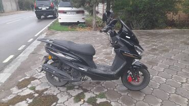 Скутеры: Сдаю Скутер MotoPark/МотоПарк (надпись на облицовке) — 10