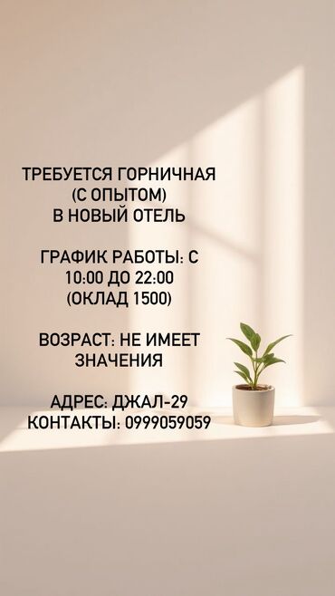 тст сервис строй: Талап кылынат Үй кызматкери, Төлөм Бир айда эки жолу
