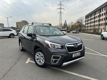 авто парк: Subaru Forester: 2019 г., 2.5 л, Вариатор, Бензин, Кроссовер
