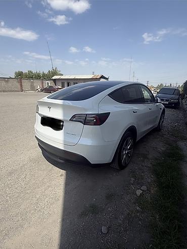 small car: Tesla Model Y: 2021 г., Электромобиль, Кроссовер — 3