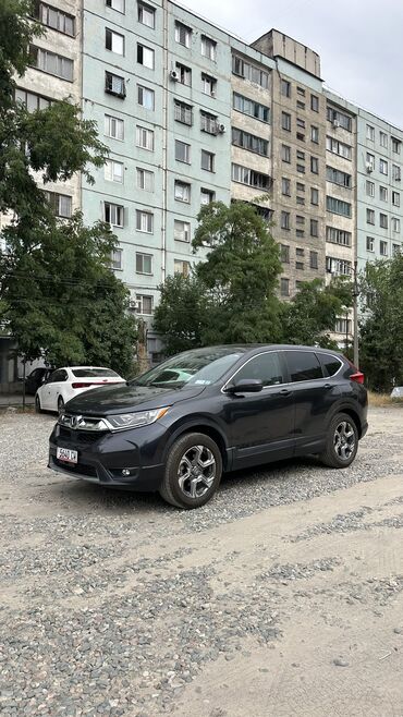 runx alex: Honda CR-V: 2019 г., 1.5 л, Автомат, Бензин, Кроссовер