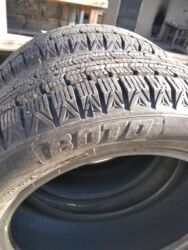 шины r14c: Шиналар