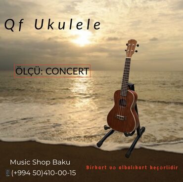 gabol baku: Ukulele, Yeni