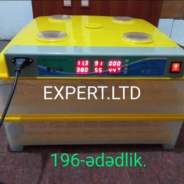 Digər quşlar: Smart-rejimli inkubatorlar satılır. Aparatlar tam olaraq avtomat, və — 22