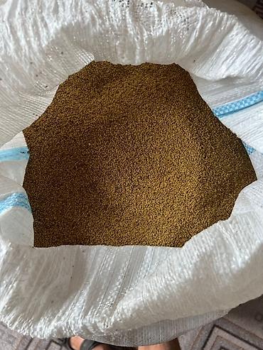 земля для газона: Продам семена люцерны, очишеные через пектус, 2.500 тн с — 1