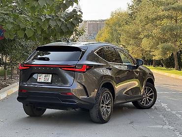 окончательно: Lexus NX: 2022 г., 2.5 л, Автомат, Гибрид, Кроссовер — 4