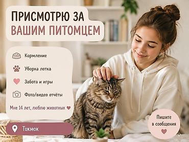 даром кошки: Здравствуйте! Мне 14 лет, живу в Токмоке. Могу: • покормить вашего — 1