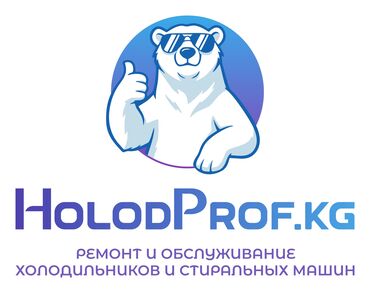 Ремонт холодильников, морозильников: Ремонт холодильниковморозильниковвитрин,стиральных машин автомат — 10