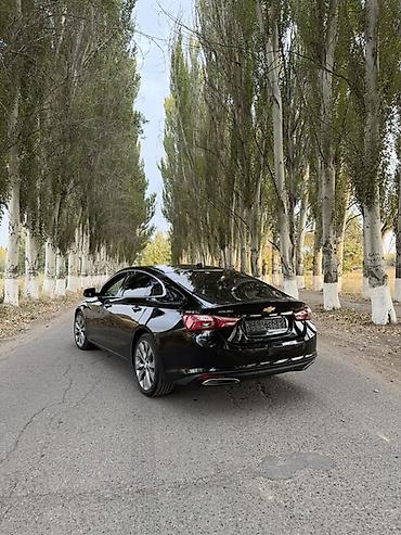 Buick: Chevrolet Malibu: 2019 г., 2 л, Автомат, Бензин, Седан — 2