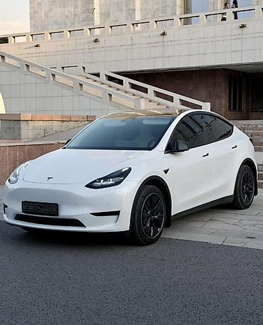 авто элек: Tesla Model Y: 2023 г., Электромобиль, Кроссовер — 3