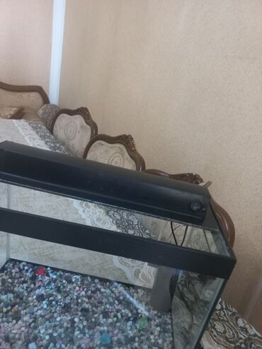 Akvariumlar: Akvarum satılır 40 selqiledir lazim üçün fso — 6
