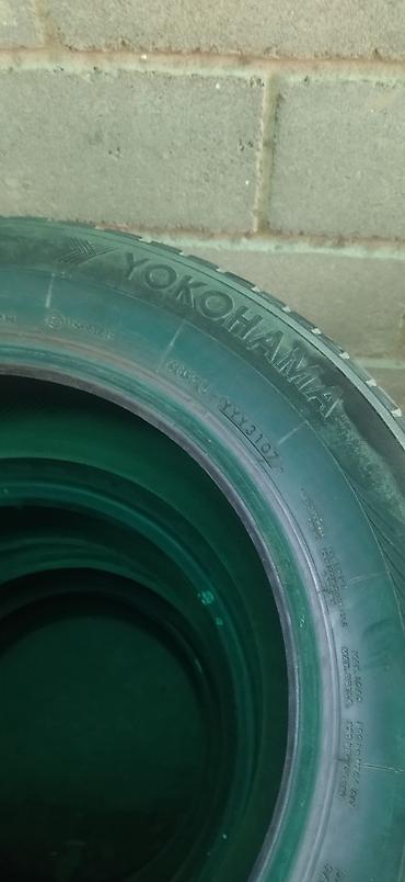 Шины: Шины 195 / 65 / R 15, Всесезонная, Б/у, Легковые, Германия — 19