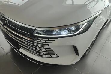 BYD: BYD : 1.5 l | 2024 il 55 km Sedan — 8