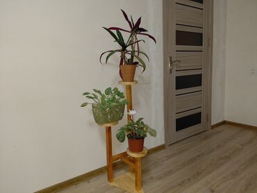 Bitkilər üçün dibçəklər: Taxta bitki stendləri və saksı dayaqları - Material: təbii ağac. Açıq — 20