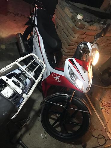 Mopedlər,skuterlər: - EGE seriyası — 12