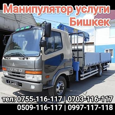 бортовой 2008: Манипулятор, Hyundai — 1