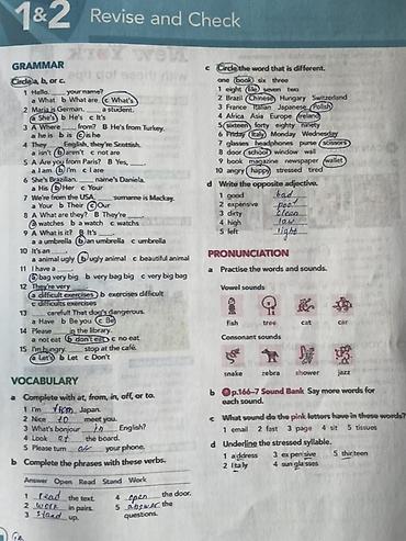 Книги и журналы: Учебник English File Elementary (Fourth Edition), Oxford — 2