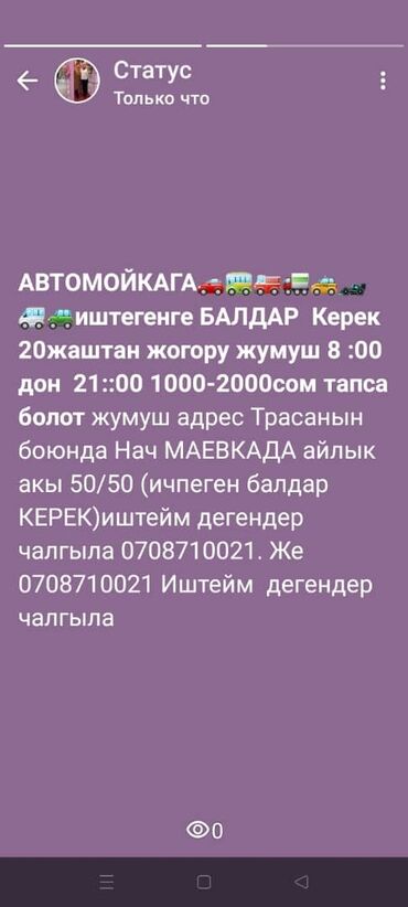 кофта для беременных: Талап кылынат Унаа жуугуч, Төлөм Күнүмдүк, Кирешеден пайыз, Тажрыйбасыз