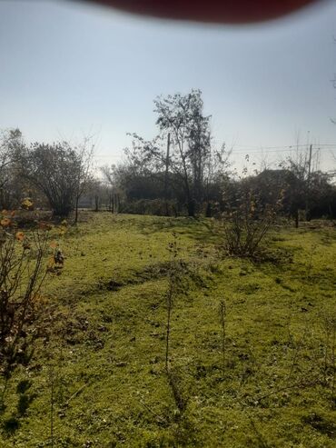 Torpaq sahələrinin satışı: 30 sot, Tikinti, Kupça (Çıxarış) — 8