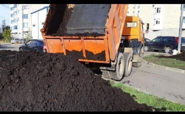 Toxumlar: Şəhid ailələrinə çatdırılma pulsuzdur. Qara torpaq Şamaxı İsmayıllı — 4