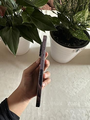 мереке видео: IPhone 14 Pro, Колдонулган, 256 ГБ, Deep Purple, 81 % — 1