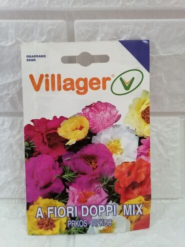 Semena i sadnice: Cena 500din/kesica — 25