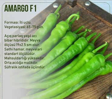 Toxumlar: Aluzze qarpiz toxumu — 8